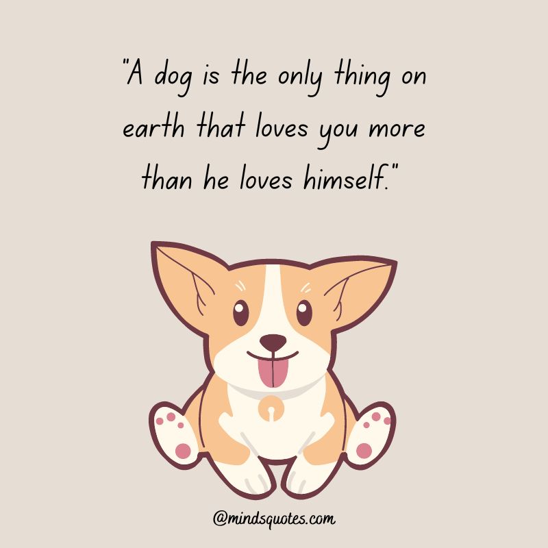 Happy International Dog Day Quotes