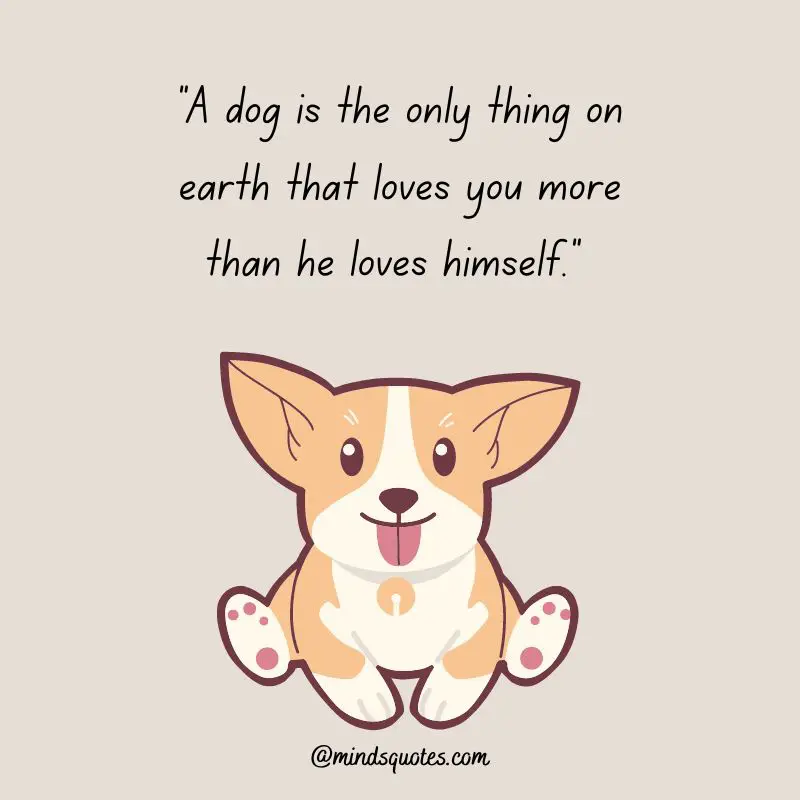 41+ BEST International Dog Day Quotes, Wishes & Messages 5 Happy International Dog Day Quotes