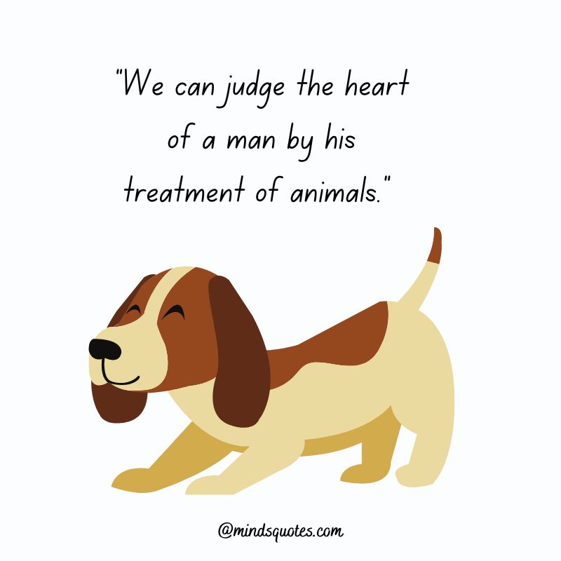 41+ BEST International Dog Day Quotes, Wishes & Messages 4 Happy International Dog Day Quotes