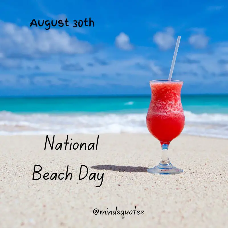 55+ Famous National Beach Day Quotes, Wishes & Messages 22 Happy National Beach Day
