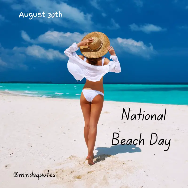 55+ Famous National Beach Day Quotes, Wishes & Messages 23 Happy National Beach Day 2022