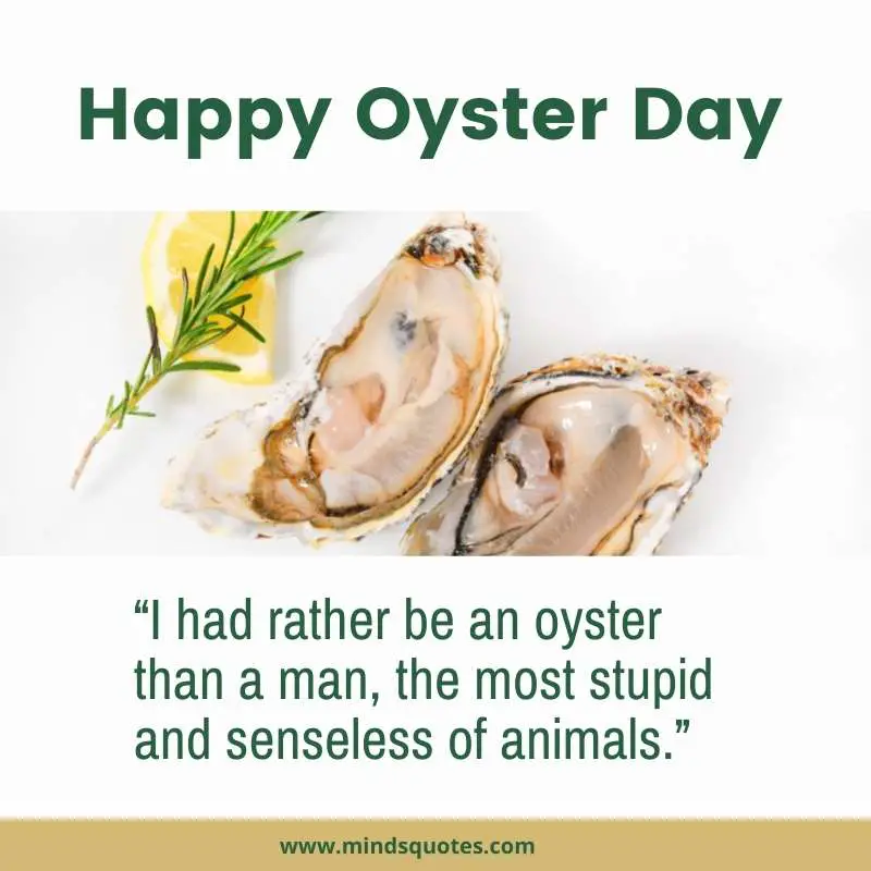 32+ BEST National Oyster Day Quotes, Wishes & Messages 5 Happy Oyster Day Quotes