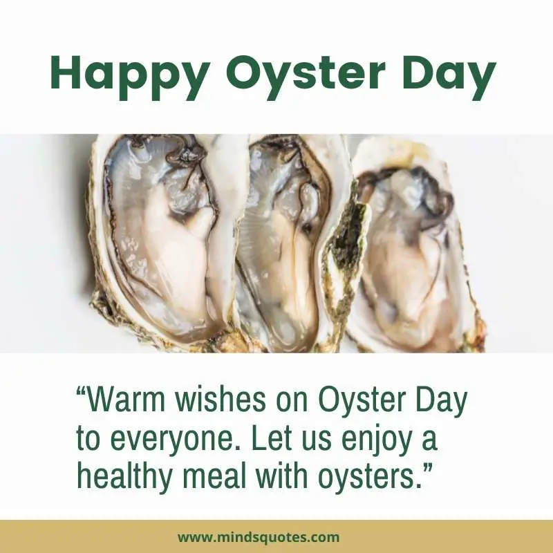 32+ BEST National Oyster Day Quotes, Wishes & Messages 7 Happy Oyster Day Wishes
