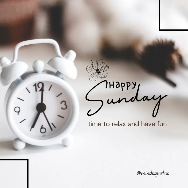 101+ BEST Happy Sunday Quotes for Inspiring Your Day 36 Happy Sunday Morning
