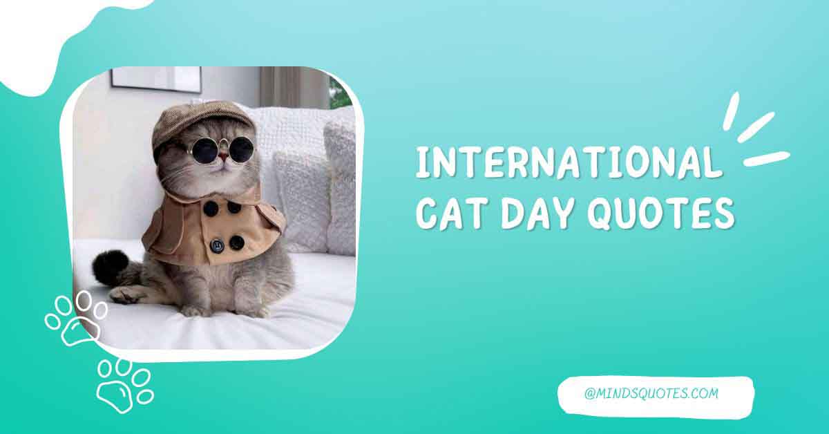65+ Famous International Cat Day Quotes, Wishes & Messages