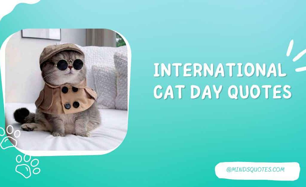 International Cat Day Quotes, Wishes & Message
