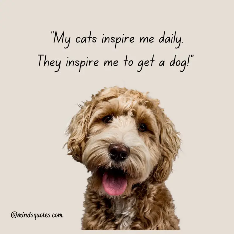 41+ BEST International Dog Day Quotes, Wishes & Messages 9 International Dog Day Messages 2022