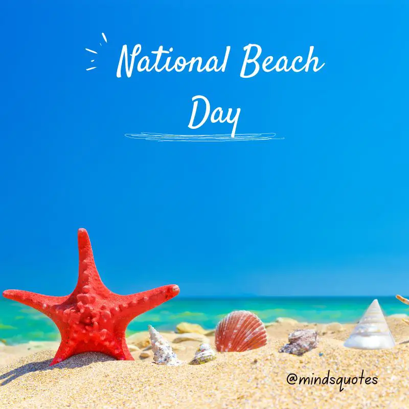 55+ Famous National Beach Day Quotes, Wishes & Messages 20 National Beach Day 2022