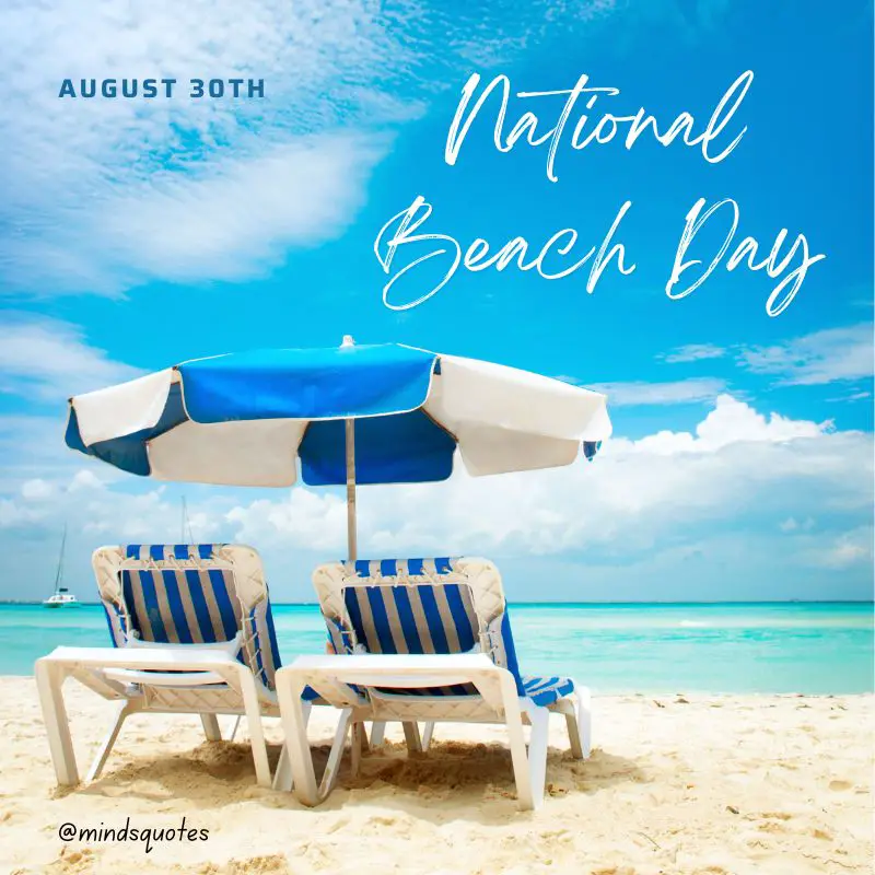 55+ Famous National Beach Day Quotes, Wishes & Messages 17 National Beach Day Poster 2022