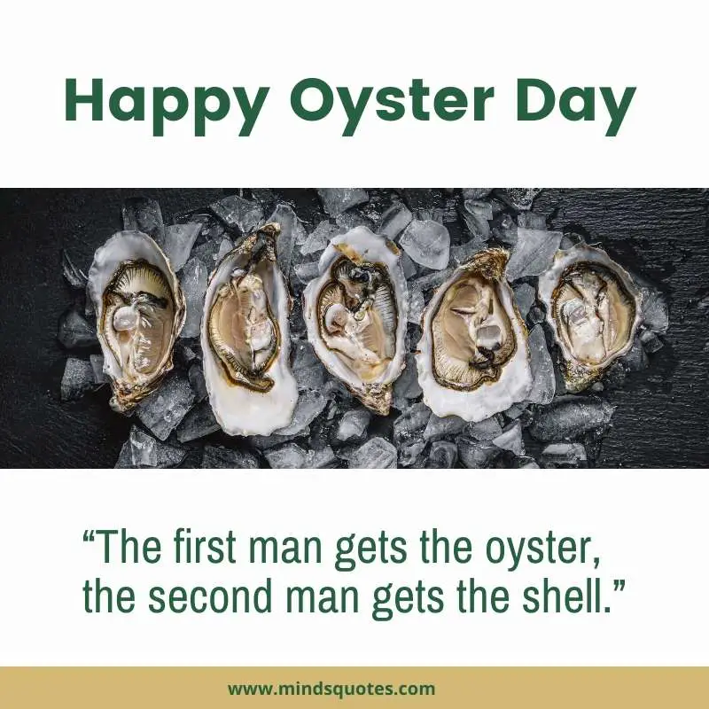 32+ BEST National Oyster Day Quotes, Wishes & Messages 3 National Oyster Day Quotes