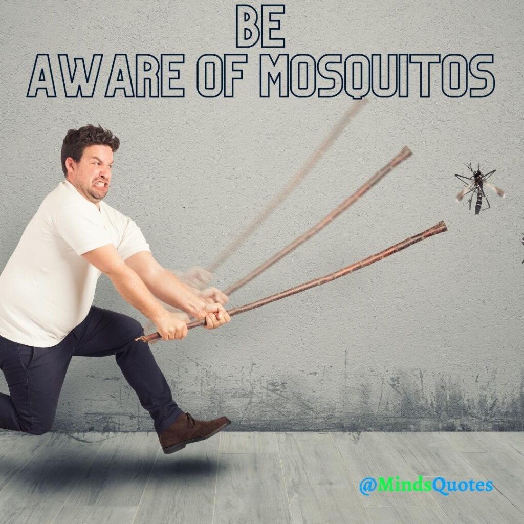 World Mosquito Day Messages