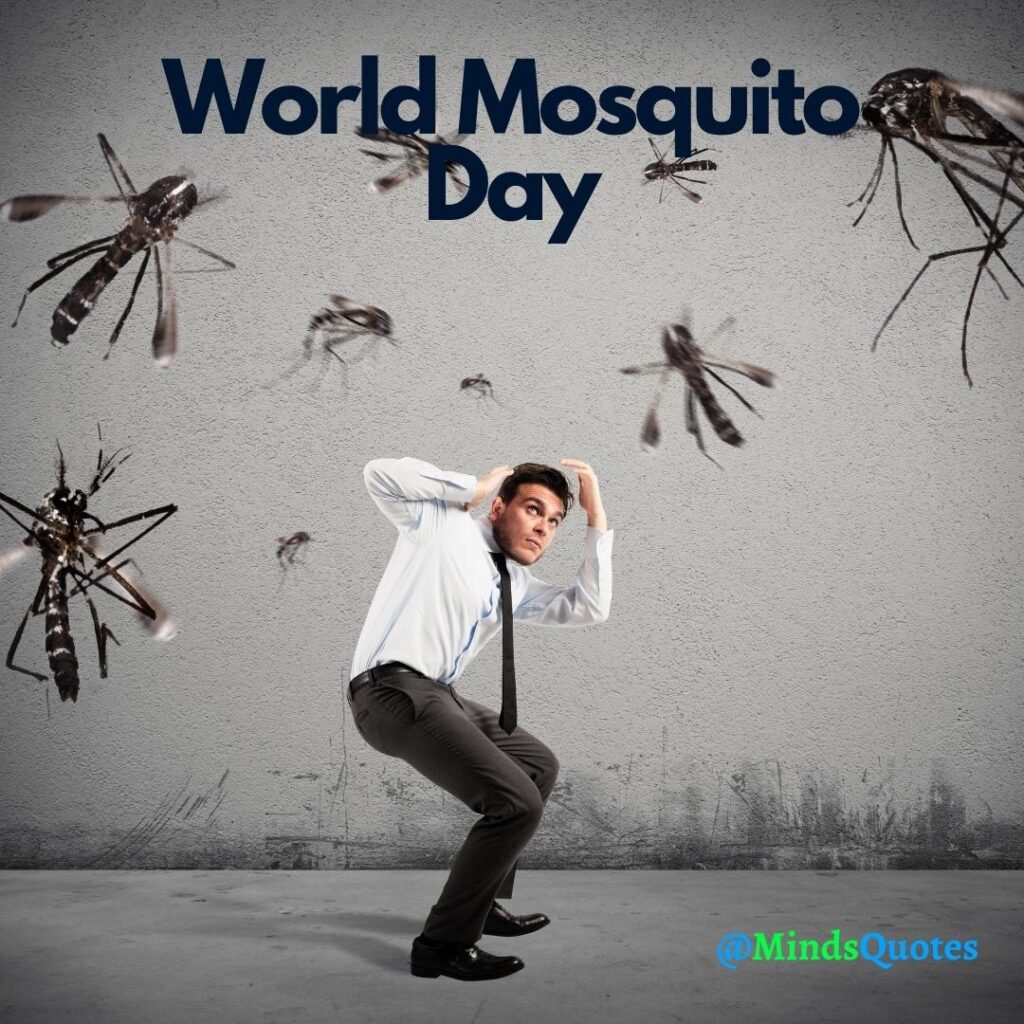 World Mosquito Day Quotes