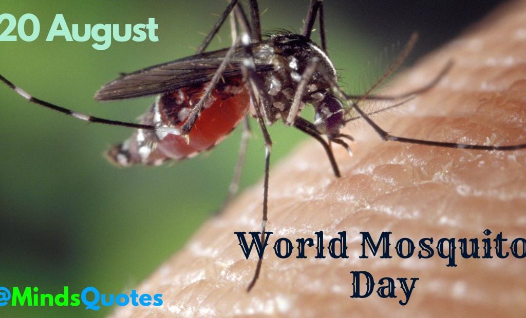 world mosquito day quotes