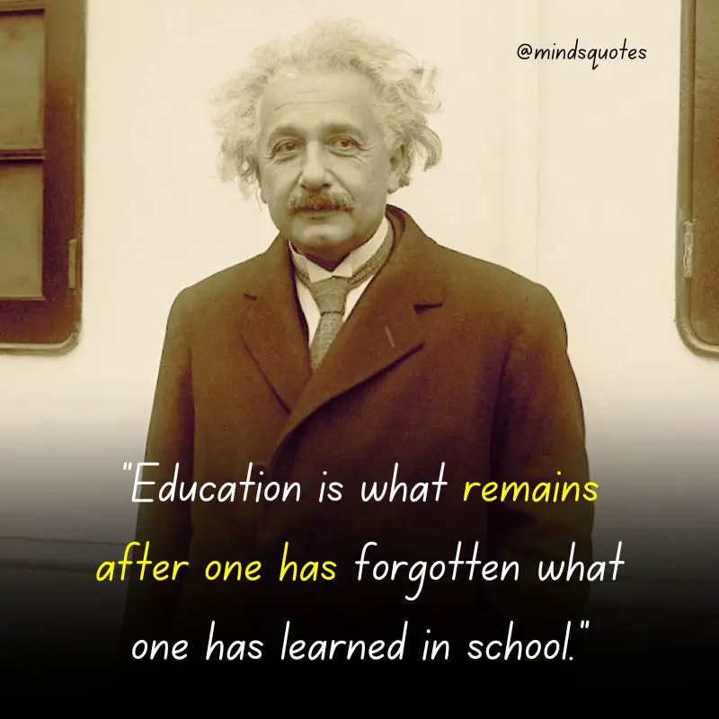 albert einstein quotes about school