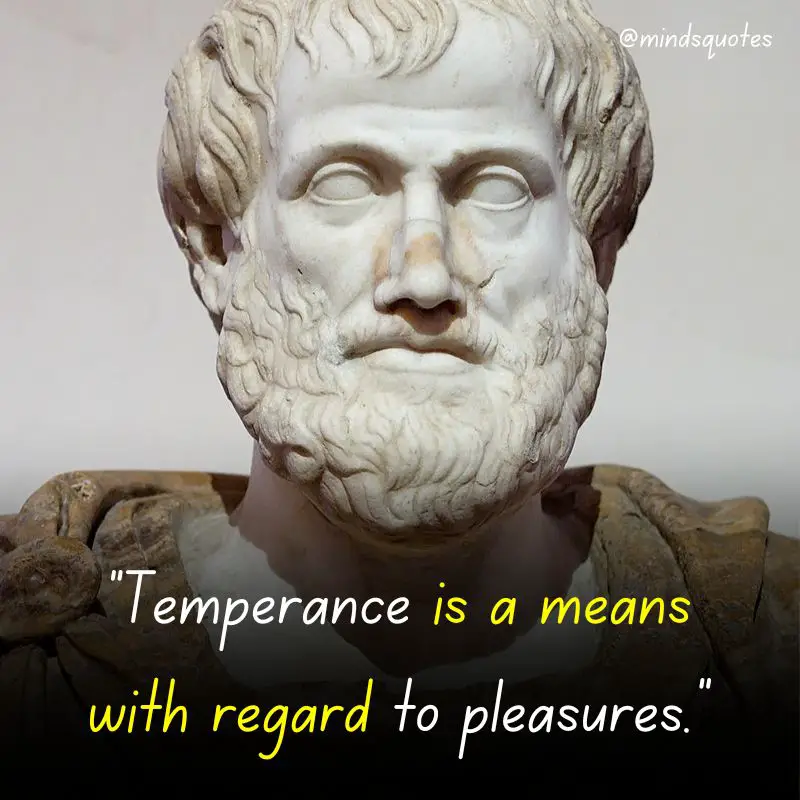 80 Famous Aristotle Quotes That Will Change Your Perspective 2 Aristotle Quotes
