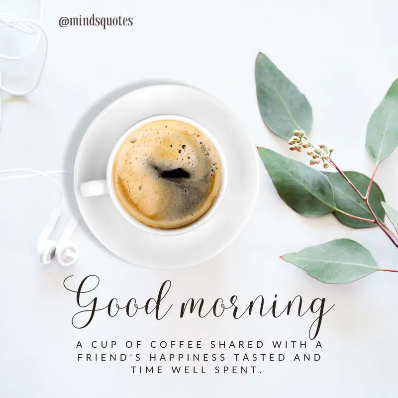 261+ BEST Good Morning Quotes for Inspire your Full day 25 Beautiful Good Morning Quotes