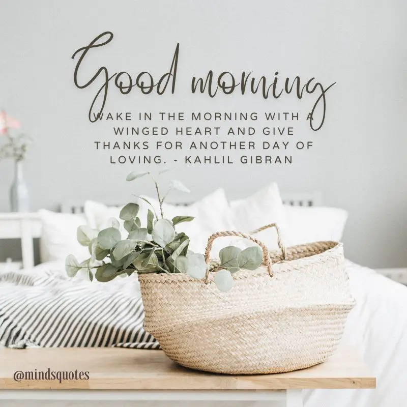 261+ BEST Good Morning Quotes for Inspire your Full day 23 Beautiful Good Morning Quotes