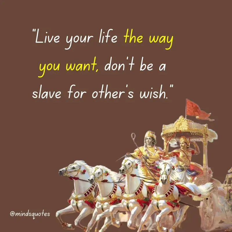 61 BEST Bhagavad Gita Quotes To Illuminate Your Life 16 Bhagavad Gita Quotes on Life