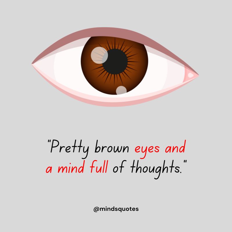 84+ Famous Eyes Quotes You'll Never Forget 19 Brown Eyes Quotes Status