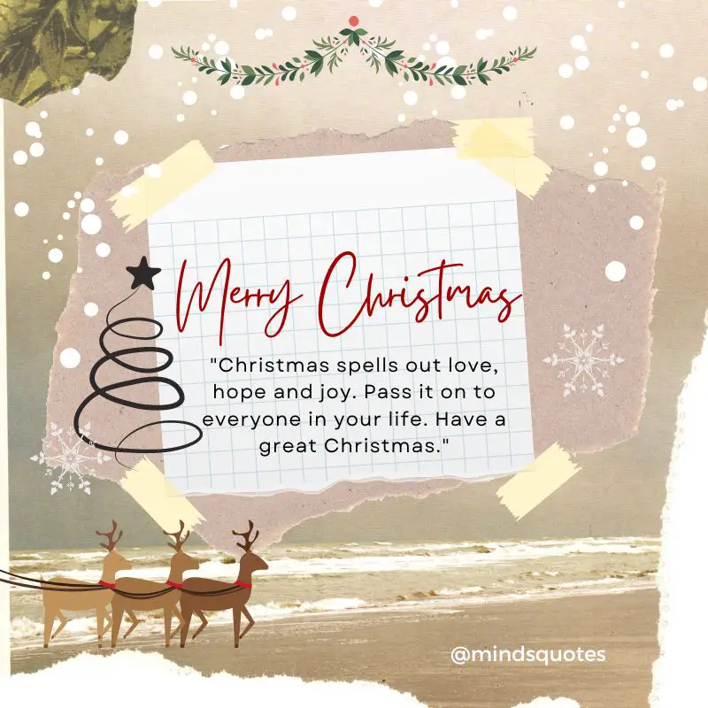 50 Best Christmas Wishes Quotes that Will Make You Smile 2 Christmas Wishes Quotes