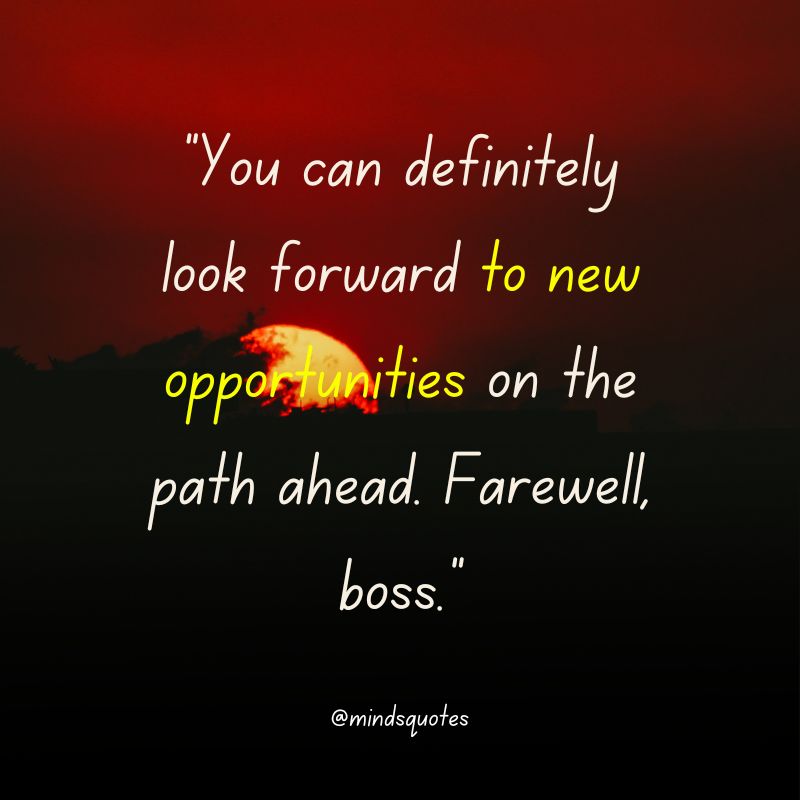 117+ BEST Farewell Quotes To Live By Before You Say Goodbye 24 Farewell Quotes for Boss