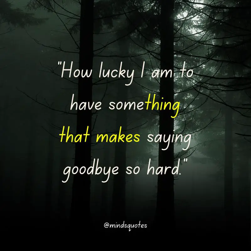 117+ BEST Farewell Quotes To Live By Before You Say Goodbye 11 Farewell Quotes for Coworkers In English
