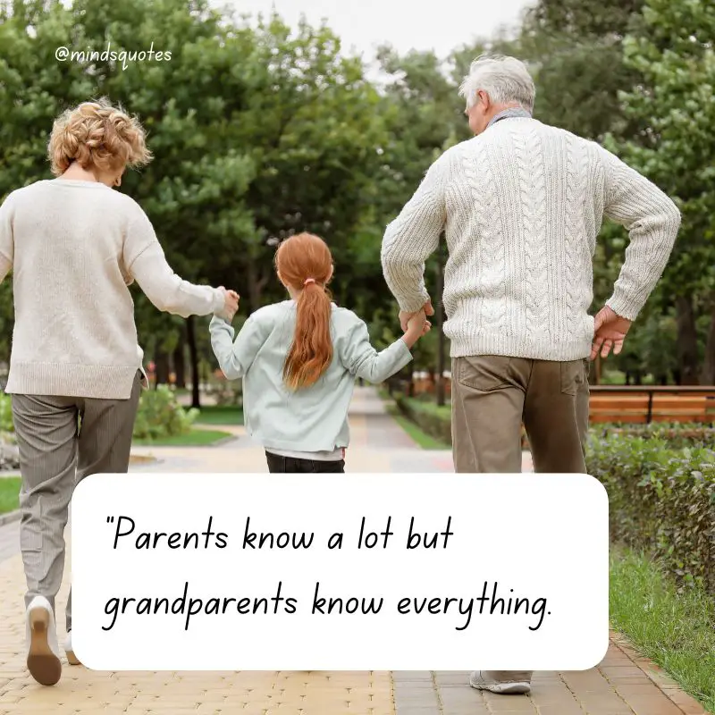 51 BEST National Grandparents Day Quotes, Wishes & Messages 12 National-Grandparents-Day-Wishes 2023