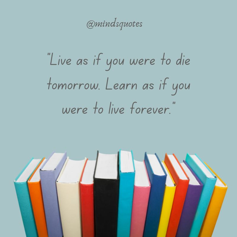 40 BEST International Literacy Day Quotes, Wishes & Messages 3 Literacy Day Quotes