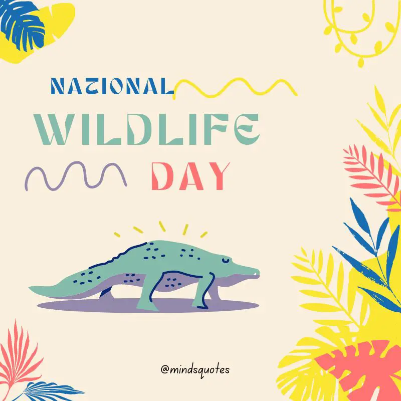 52+ Popular National Wildlife Day Quotes, Wishes, Messages 17 National Wildlife Day Images