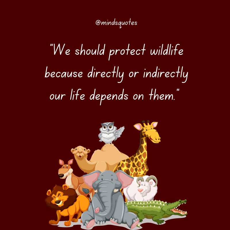 National Wildlife Day Message