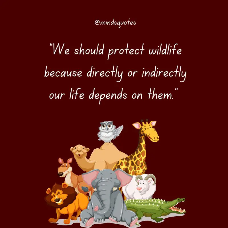 52+ Popular National Wildlife Day Quotes, Wishes, Messages 11 National Wildlife Day Message