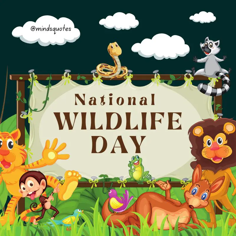 52+ Popular National Wildlife Day Quotes, Wishes, Messages 18 Wildlife Day wallpaper
