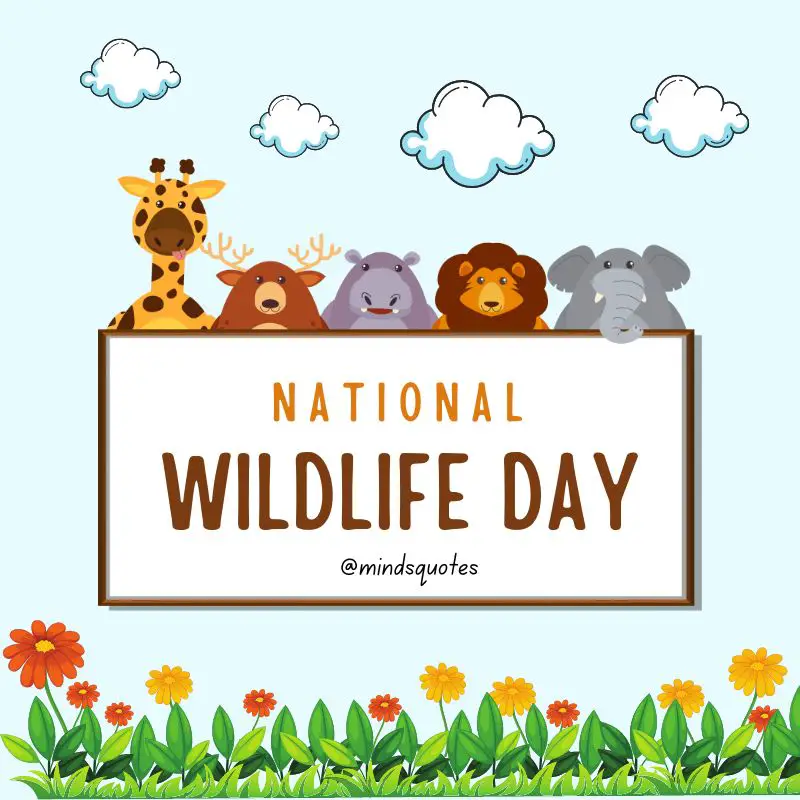 52+ Popular National Wildlife Day Quotes, Wishes, Messages 14 National Wildlife Day Poster