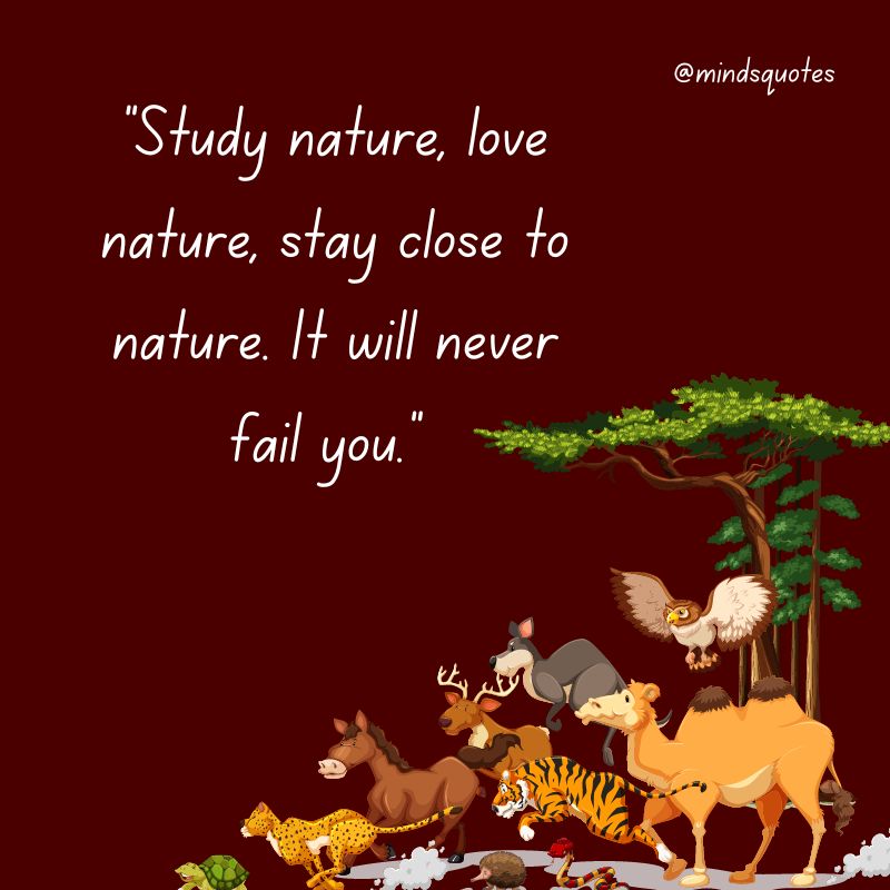 National Wildlife Day Quotes