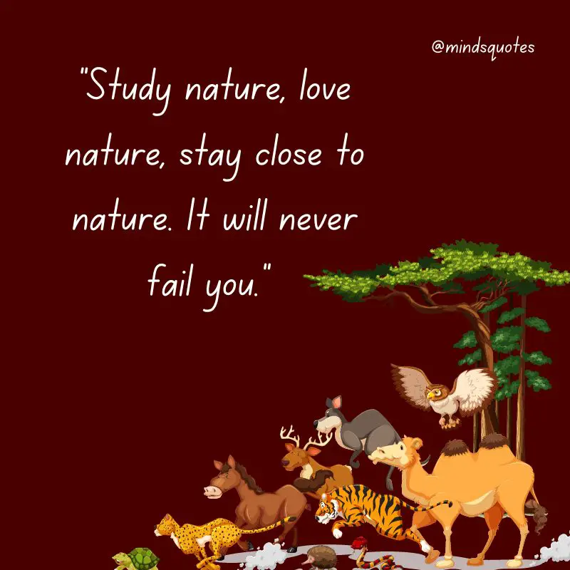 52+ Popular National Wildlife Day Quotes, Wishes, Messages 3 National Wildlife Day Quotes