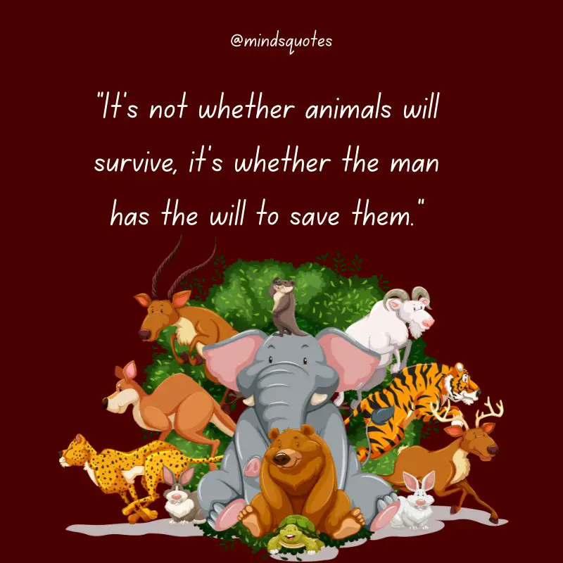 52+ Popular National Wildlife Day Quotes, Wishes, Messages 6 National Wildlife Day Quotes