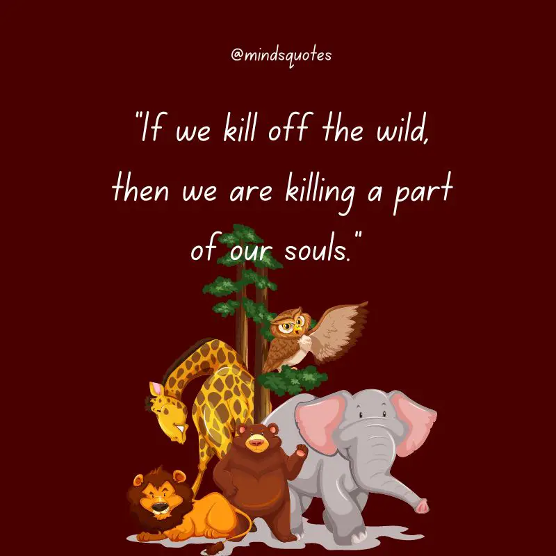 52+ Popular National Wildlife Day Quotes, Wishes, Messages 9 National Wildlife Day Wishes