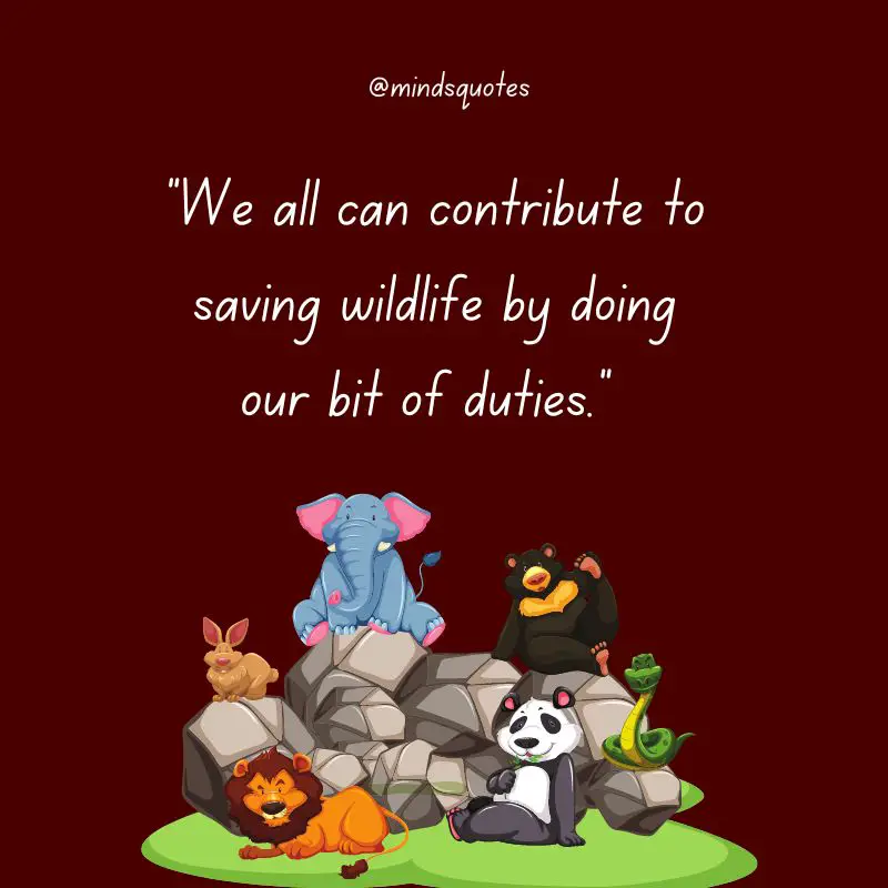 52+ Popular National Wildlife Day Quotes, Wishes, Messages 8 National Wildlife Day Wishes