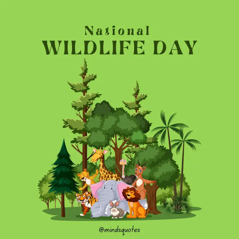 52+ Popular National Wildlife Day Quotes, Wishes, Messages 16 National Wildlife Day Wishes