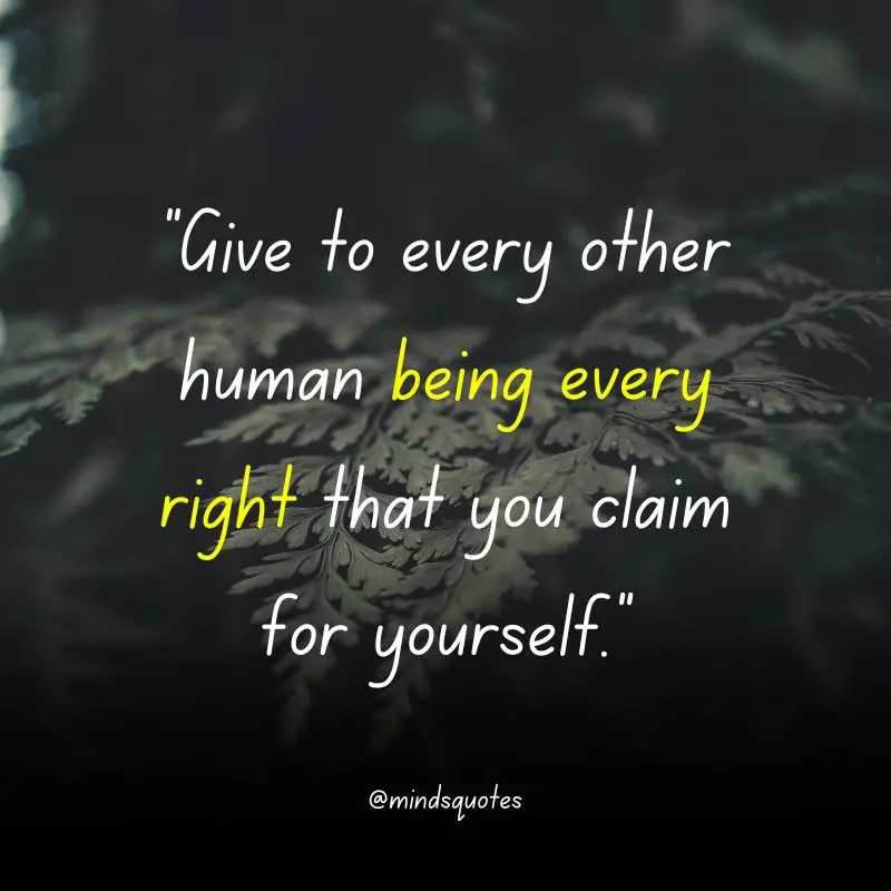 112+ BEST Respect Quotes That Everyone Needs To Know 25 Respect Quotes for Kids