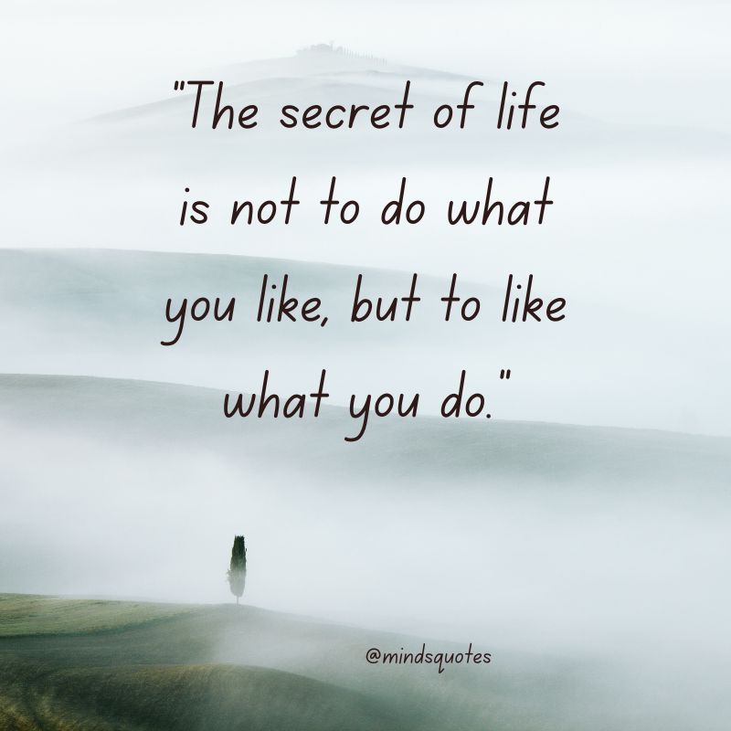 60 BEST Inspiring Single Quotes That Will Encourage 14 Savage Single Quotes