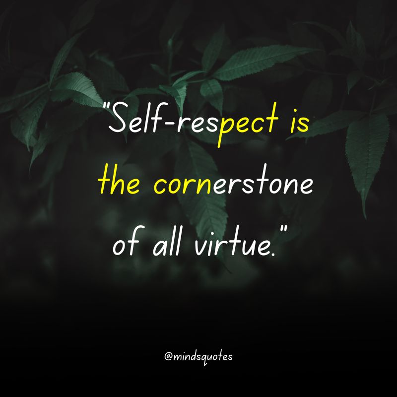 112+ BEST Respect Quotes That Everyone Needs To Know 10 Self Respect Quotes