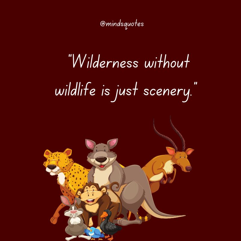 Wildlife Day Message