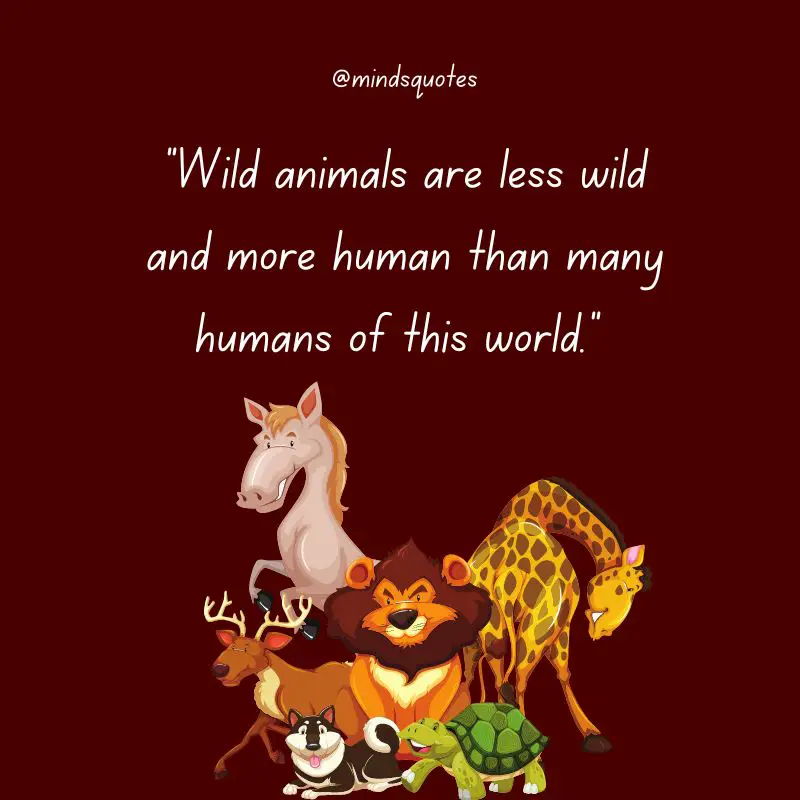 52+ Popular National Wildlife Day Quotes, Wishes, Messages 10 Wildlife Day Wishes