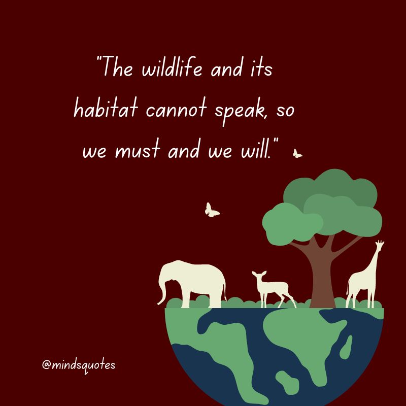 52+ Popular National Wildlife Day Quotes, Wishes, Messages 5 Wildlife Quotes