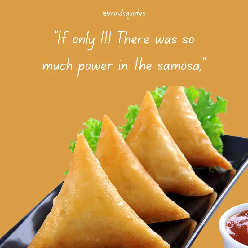 29+ Famous World Samosa Day Quotes, Saying & Captions 7 World Samosa Day Captions