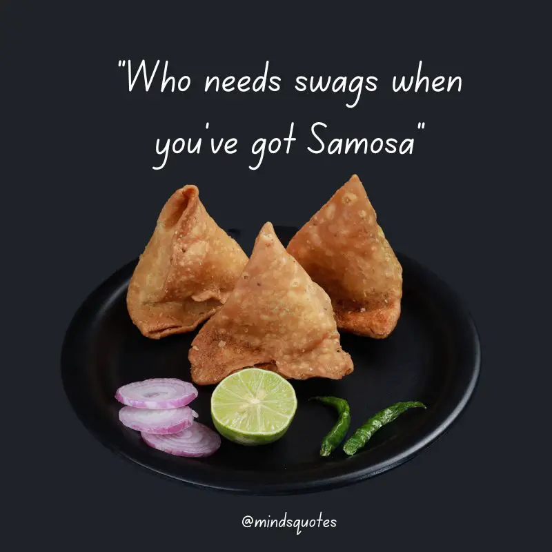 29+ Famous World Samosa Day Quotes, Saying & Captions 6 World Samosa Day Captions
