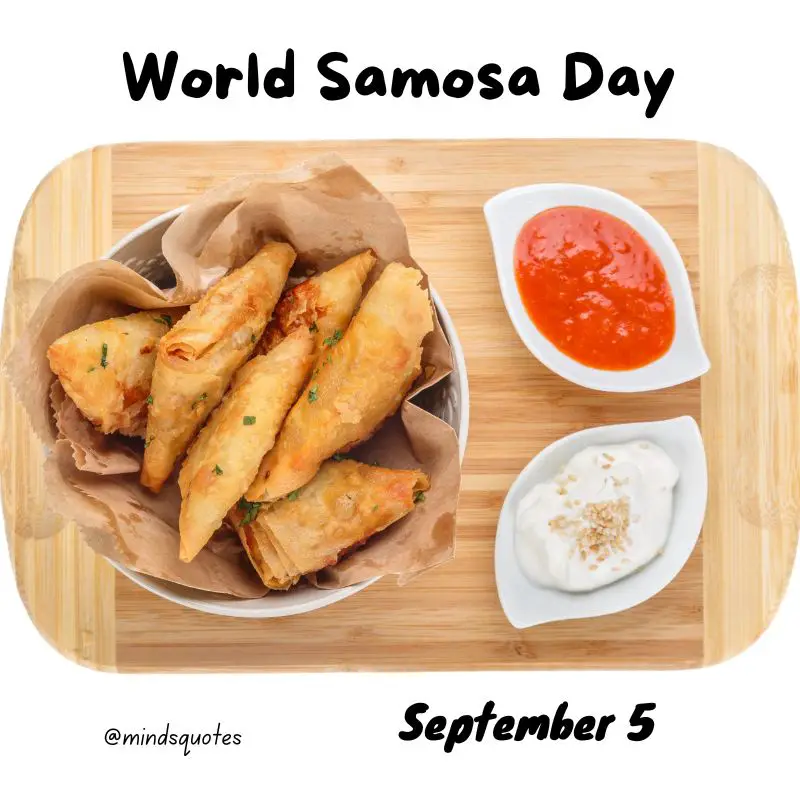 29+ Famous World Samosa Day Quotes, Saying & Captions 9 World Samosa Day Posters