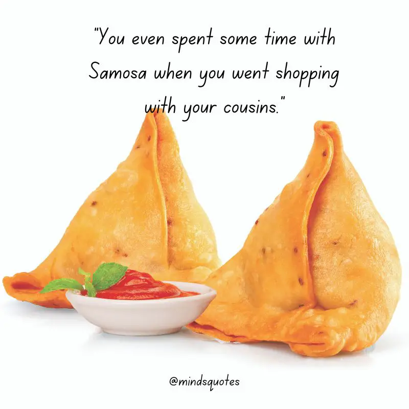 29+ Famous World Samosa Day Quotes, Saying & Captions 3 Samosa Day Quotes