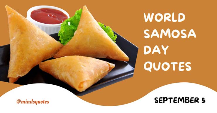26+ Famous World Samosa Day Quotes, Saying & Captions